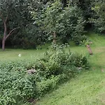 Bukovska Chaloupka Holiday home Bernartice (Jesenik)